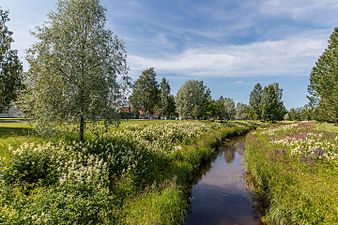 Tvärån vid Rödäng.