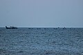 A view of fishing boats from the beach