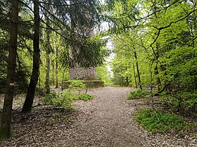 Le sommet du Wasenkoepfel.