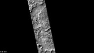 Eskers in Joly crater, as seen by CTX camera (on Mars Reconnaissance Orbiter). Eskers are the ridges in the image; they are formed by streams running under a glacier.