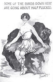 Cartoon postcard showing a woman in a bathing suit and the words "Some of the birds down here are going about half plucked"