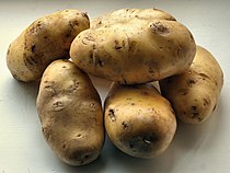 Tubercules de pomme de terre