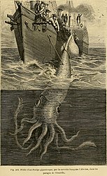 #18 (30/11/1861) This much-reproduced image appeared in Louis Figuier's La vie et les mœurs des animaux (Figuier, 1866:467, fig. 362; shown here) and Henry Lee's Sea Monsters Unmasked (Lee, 1883:39, fig. 8), among others, but Muntz (1995:21) wrote that its original source was uncertain.