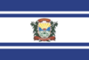 Flag of Jaborandi