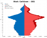 Black/Black British: Caribbean