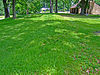 Burrows Park Effigy Mound and Campsite