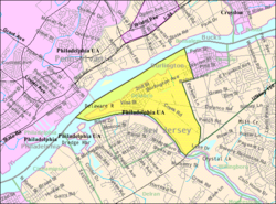 Census Bureau map of Delanco Township, New Jersey