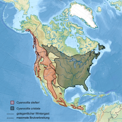 Distribución das dúas especies do xénero