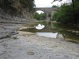 Dalle triasique ou jurassique à Ammonoidea in situ (sous le pont de Fressac sur la rivière Conturby, Gard, France. Ce site est proche de Durfort où fut trouvé l'éléphant méridional, bien plus récent)