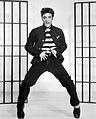 Image 9Elvis Presley was the best-selling musical artist of the decade. He is considered as the leading figure of the rock and roll and rockabilly movement of the 1950s. (from 1950s)