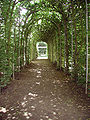 Pérgola paralela a la "Wasserterrasse"