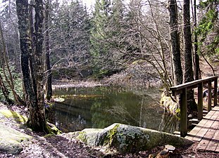 Kvarndammen och bron