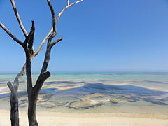 Lagon de Poé à marée basse