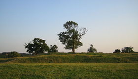 Image illustrative de l’article Château de Lindholmen