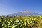 Tabaco em Java