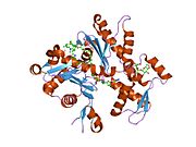 1qz6: Structure of rabbit actin in complex with jaspisamide A