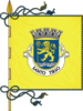 Flag of Santo Tirso