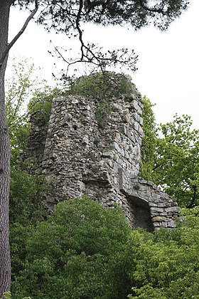 Image illustrative de l’article Château de Rochefort-en-Yvelines