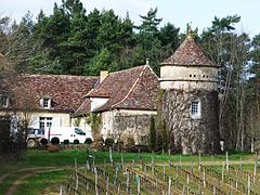 La chartreuse des Bourdies.