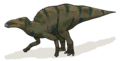 Shantungosaurus