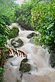 Waterfall in Toro Negro River