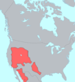 Uto-Aztecan: Comanche, Shoshone, Ute