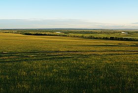 Hulunbuir steppes