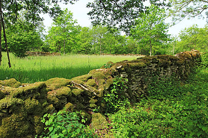 Mur d'enceinte du paléolithique.