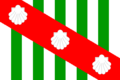 Bandeira de Canavieiras