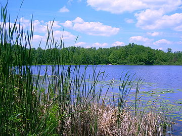 Benton Lake in Manistee National Forest
