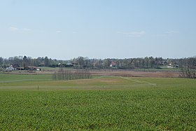 Możdżany