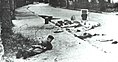 Image 37Belgian soldier taking cover by the corpses of dead hostages, November 1964 in Stanleyville during Operation Dragon Rouge (from History of Belgium)