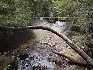 A temporary flume in New South Wales