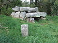 Carnac Stones