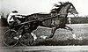 Black and white image of a dark horse trotting at full speed, pulling a racing sulky and driver