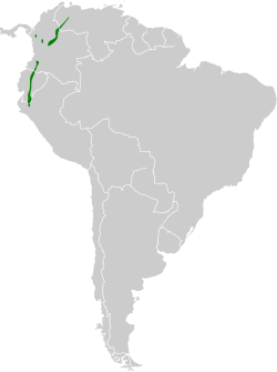 Distribución geográfica del calzadito reluciente