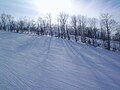 Cool shot of trees and run