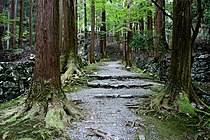 高山寺参道