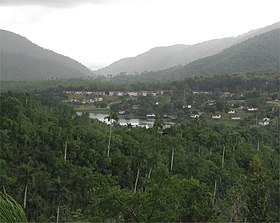 View of the village and surrounding forest