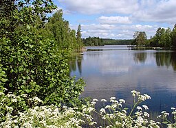 Boskvarnasjön intill Lindshammar där Mörrumsån har sin källa.