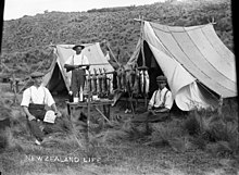 Men displaying a catch of rabbits and fish. A marginal note reads "New Zealand Life".