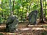 Les menhirs dits « des Indrolles » dans la forêt domaniale d'Halatte, situés sur le territoire de la commune de Senlis (60) dans la parcelle 296 non loin de la D 1017.