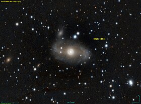 Image illustrative de l’article NGC 1343