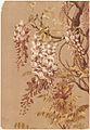 Purple Wisteria, chromolithograph (Boston Public Library)