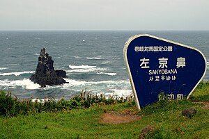 壱岐・左京鼻の断崖と岩柱