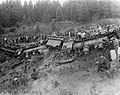 Circus train derailed in 1893, but lions and bears remained in cars