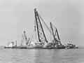 Blackthorn being raised in 1980