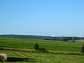 Gesamtansicht Windpark „Ulrichsteiner Kreuz“