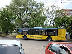 ЛАЗ Е183 в Черкасах