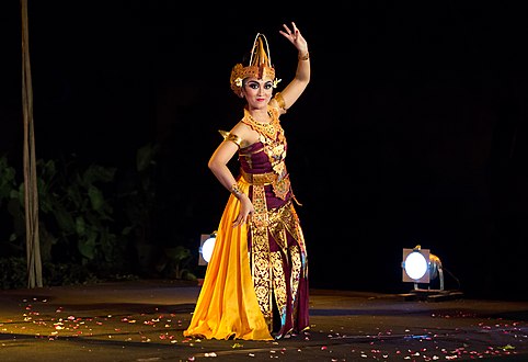 A dancer with her skirt hanging, illustrating the front portion of the costume